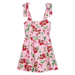 Zara Pink Cherry Chili Pepper Print Mini Dress Size Medium Bloggers Favorite